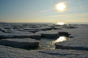 Mořský led v Arktidě